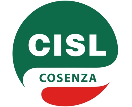 Cisl Scuola Cosenza – Incontro formativo e di orientamento per Docenti Neoassunti in ruolo a.s. 2026/2027